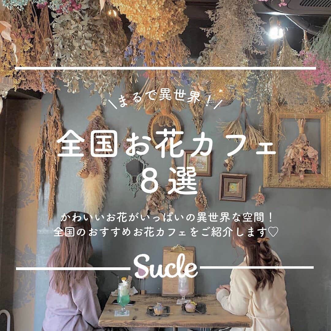 SUCLEのインスタグラム