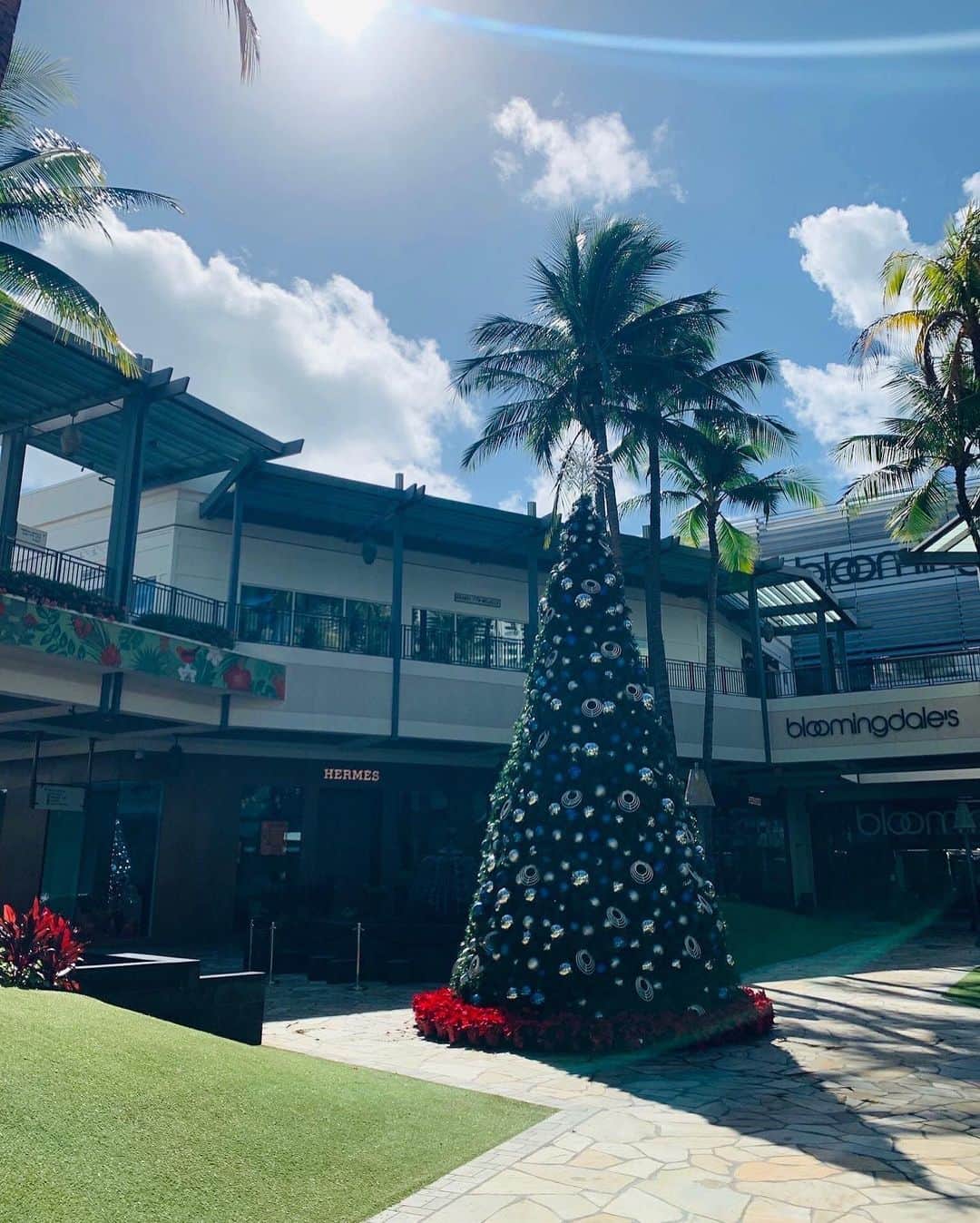 伊東美咲さんのインスタグラム写真 - (伊東美咲Instagram)「皆様素敵なChristmasをお過ごしくださいませ。  #クリスマス #Christmas #ハワイ #クリスマスツリー」12月24日 19時49分 - misaki_ito_official