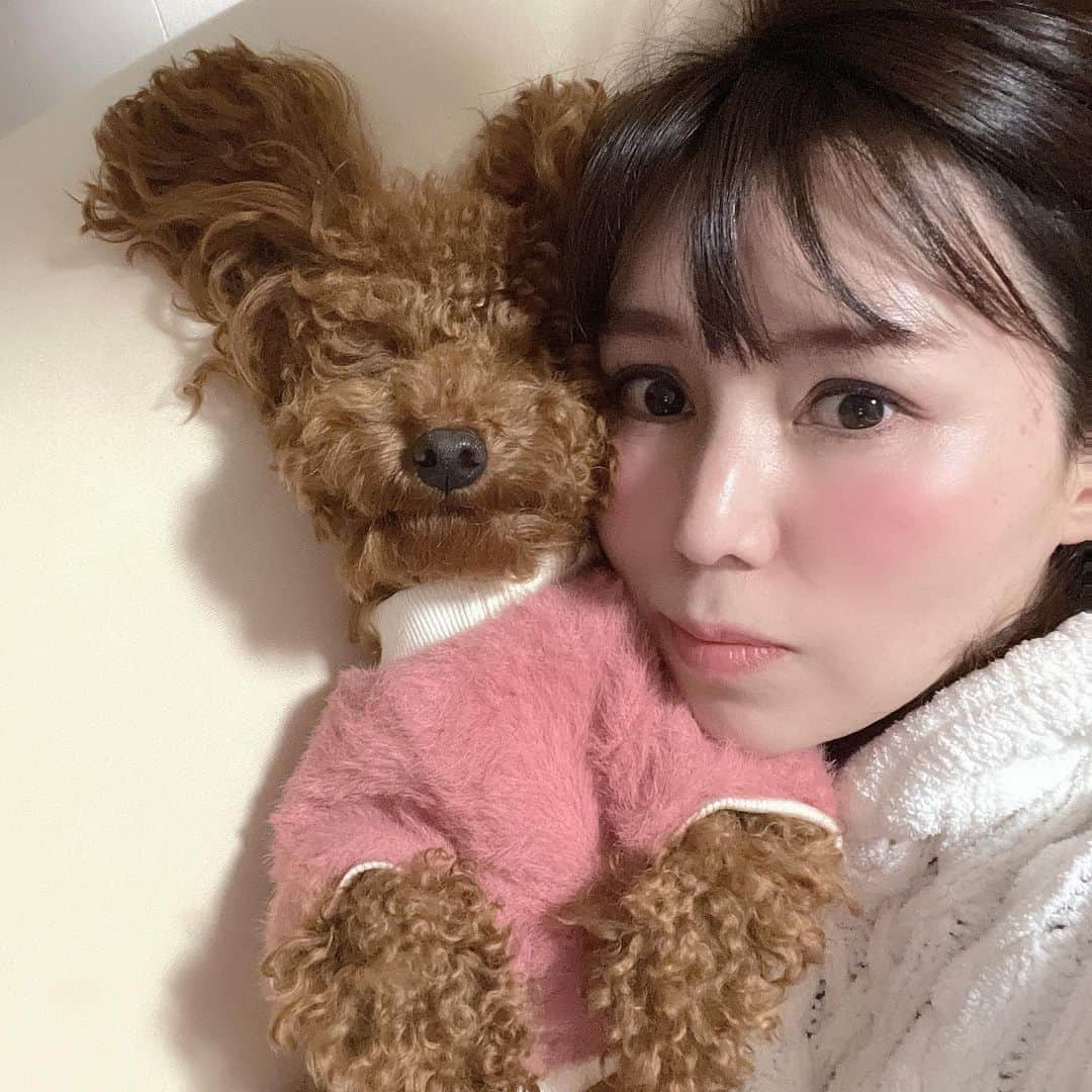 上原みなみのインスタグラム：「皆さん  Merry Xmas🎄  凛ちゃん(ワンちゃん)と初めて一緒に過ごすクリスマスイブです。  寝息を聞いているだけで幸せを感じます💕  #トイプードル #トイプー #愛犬  #いぬすたぐらむ  #いぬ  #といぷーどる」