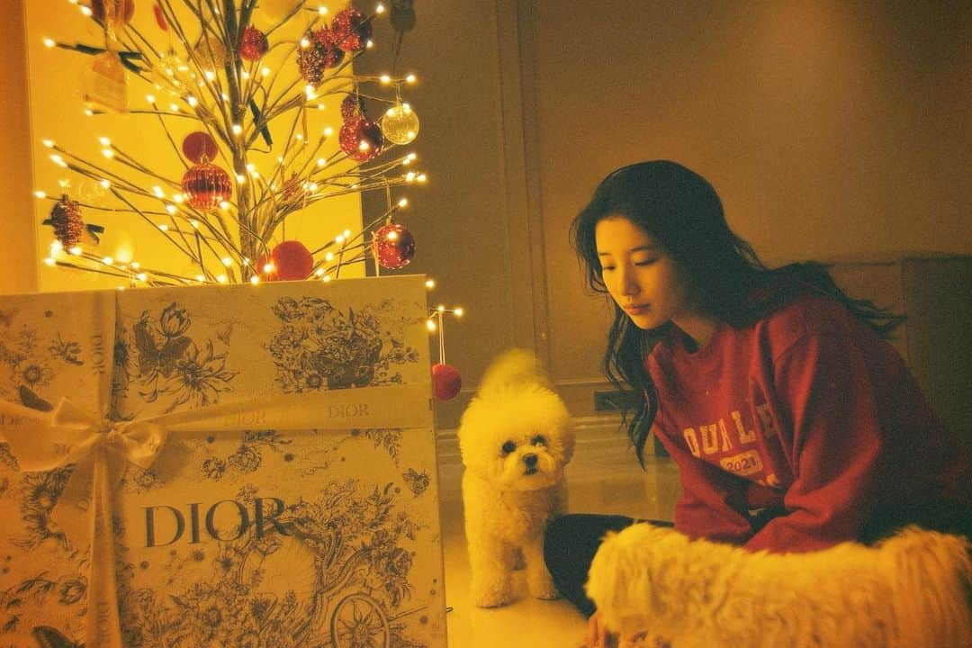 ペ・スジさんのインスタグラム写真 - (ペ・スジInstagram)「디올산타 🎄🧣」12月24日 20時35分 - skuukzky