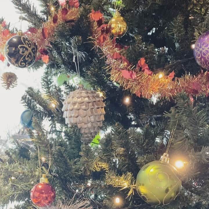 けいこのインスタグラム：「. 🎄💫」