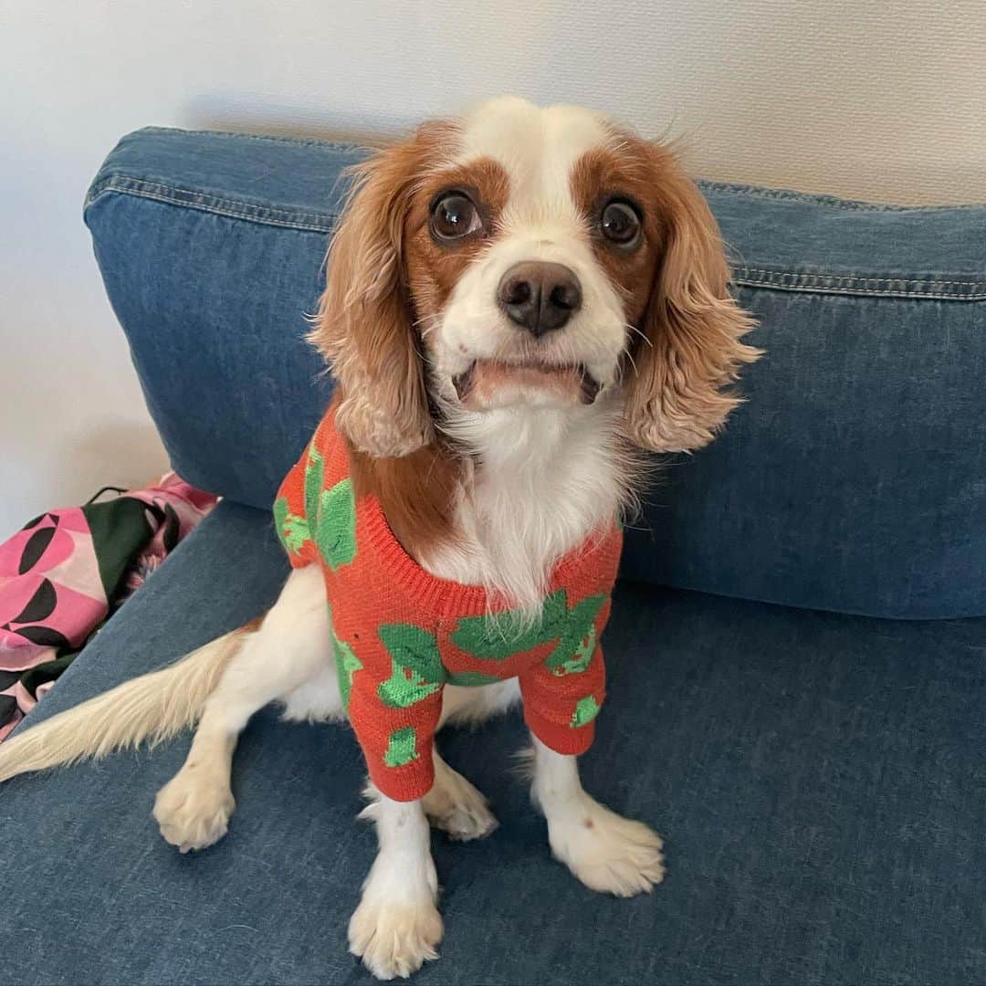 村上佳菜子のインスタグラム：「... メリークリスマス🎅 . . . #メリークリスマス #時々するこの謎の顔」