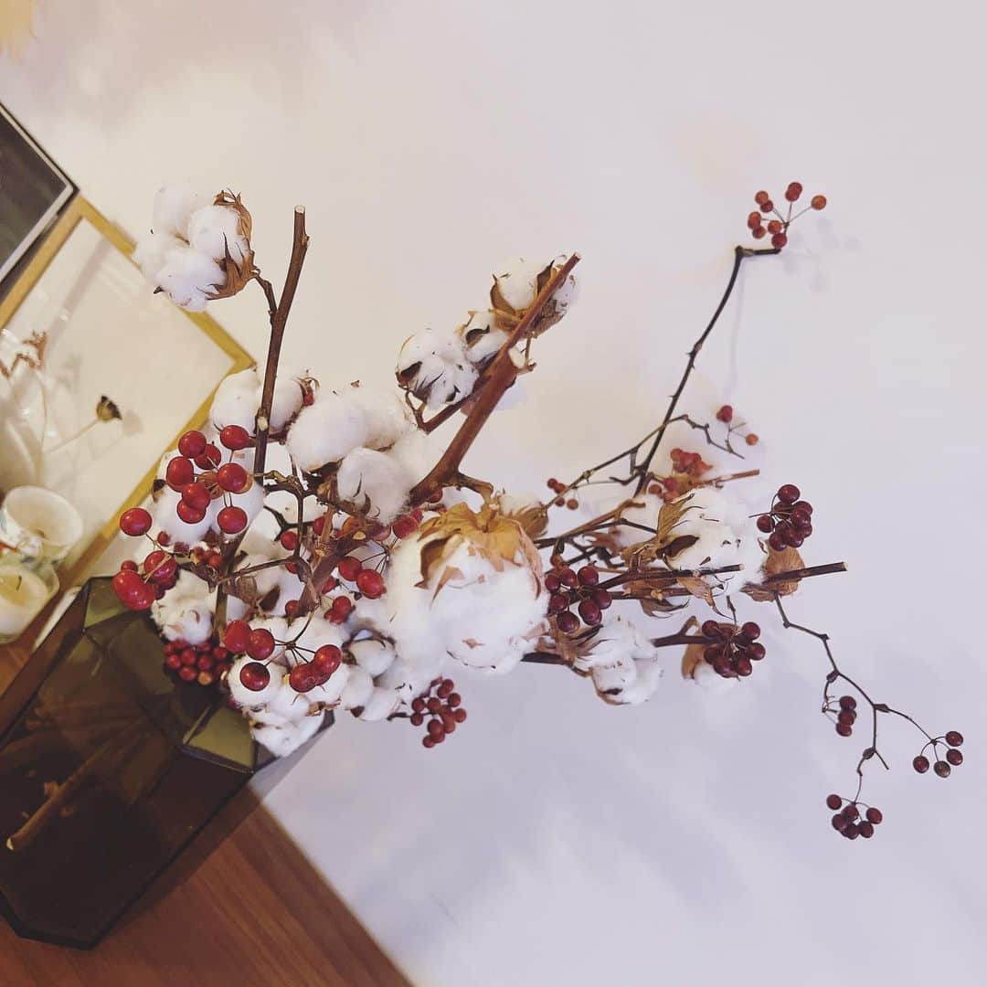桐谷美玲さんのインスタグラム写真 - (桐谷美玲Instagram)「Merry Christmas🎄 @kanakosato1019 さんにいただいたクリスマスを感じるお花と共に迎えた朝でした🎅 みなさん良いクリスマスを⭐︎」12月25日 8時07分 - mirei_kiritani_