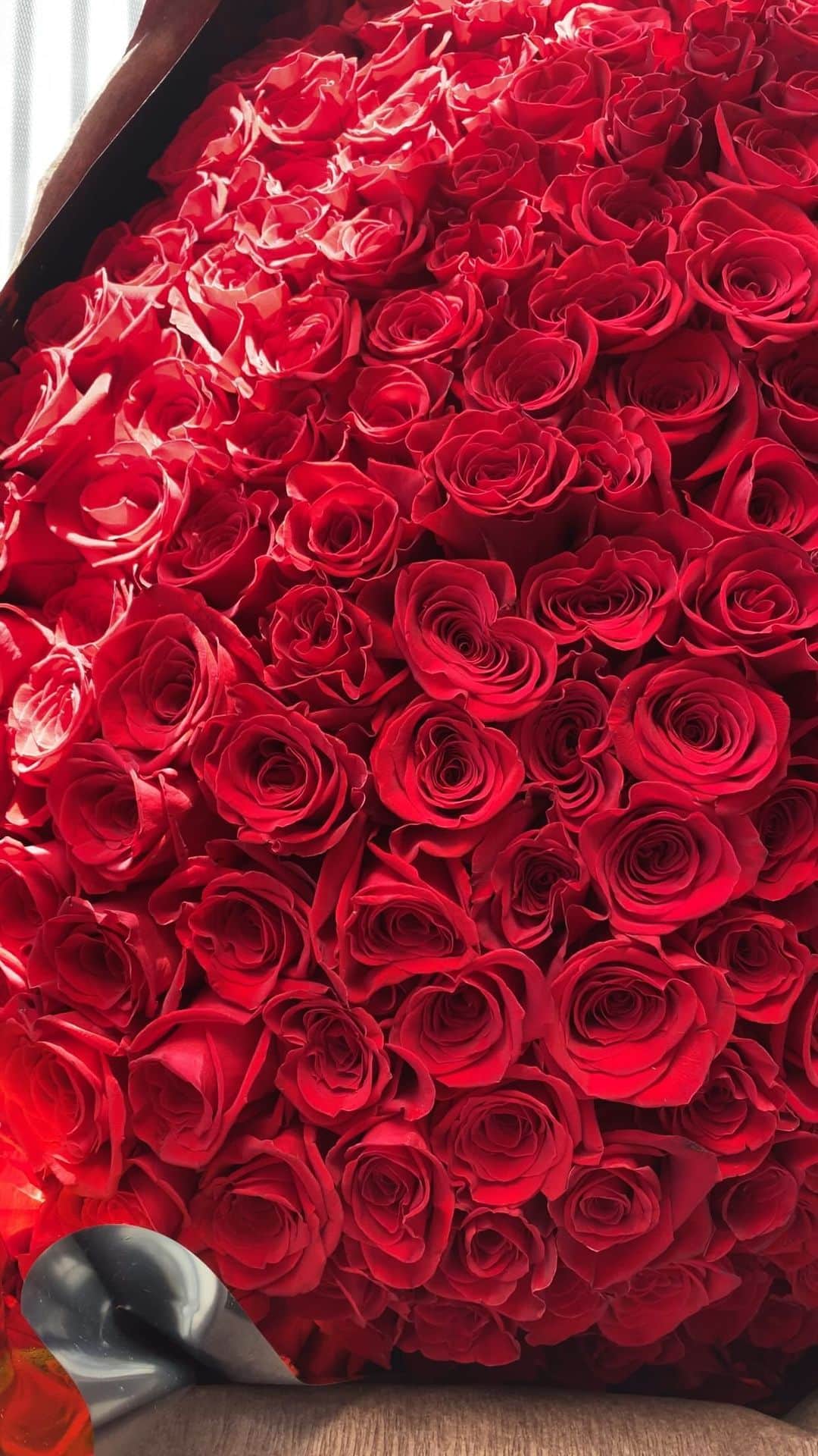 のインスタグラム：「merry christmas 🌹✨」