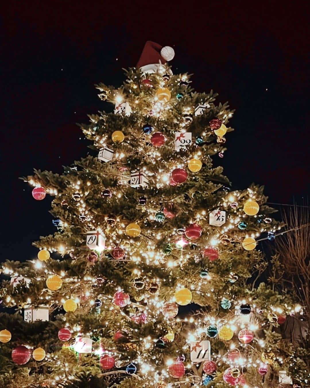 石崎日梨さんのインスタグラム写真 - (石崎日梨Instagram)「⁡ 今年も可愛いクリスマスツリー沢山あったね💂🏻‍♀️🎄✨」12月25日 20時10分 - ishizaki_hina0123
