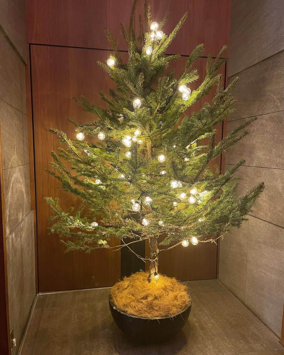 杉浦みずきのインスタグラム：「. Merry Christmas🎄」