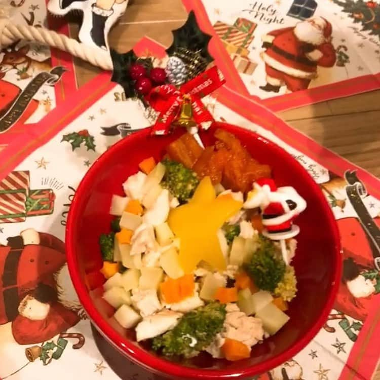 桜子さんのインスタグラム写真 - (桜子Instagram)「クリスマスプレートはささみとブロッコリーとにんじんと柿🥕🥦  よく見るとにんじんも小さい星になってます🥰がんばった。  #犬クリスマス #チワックス」12月25日 12時37分 - ishibashi__88