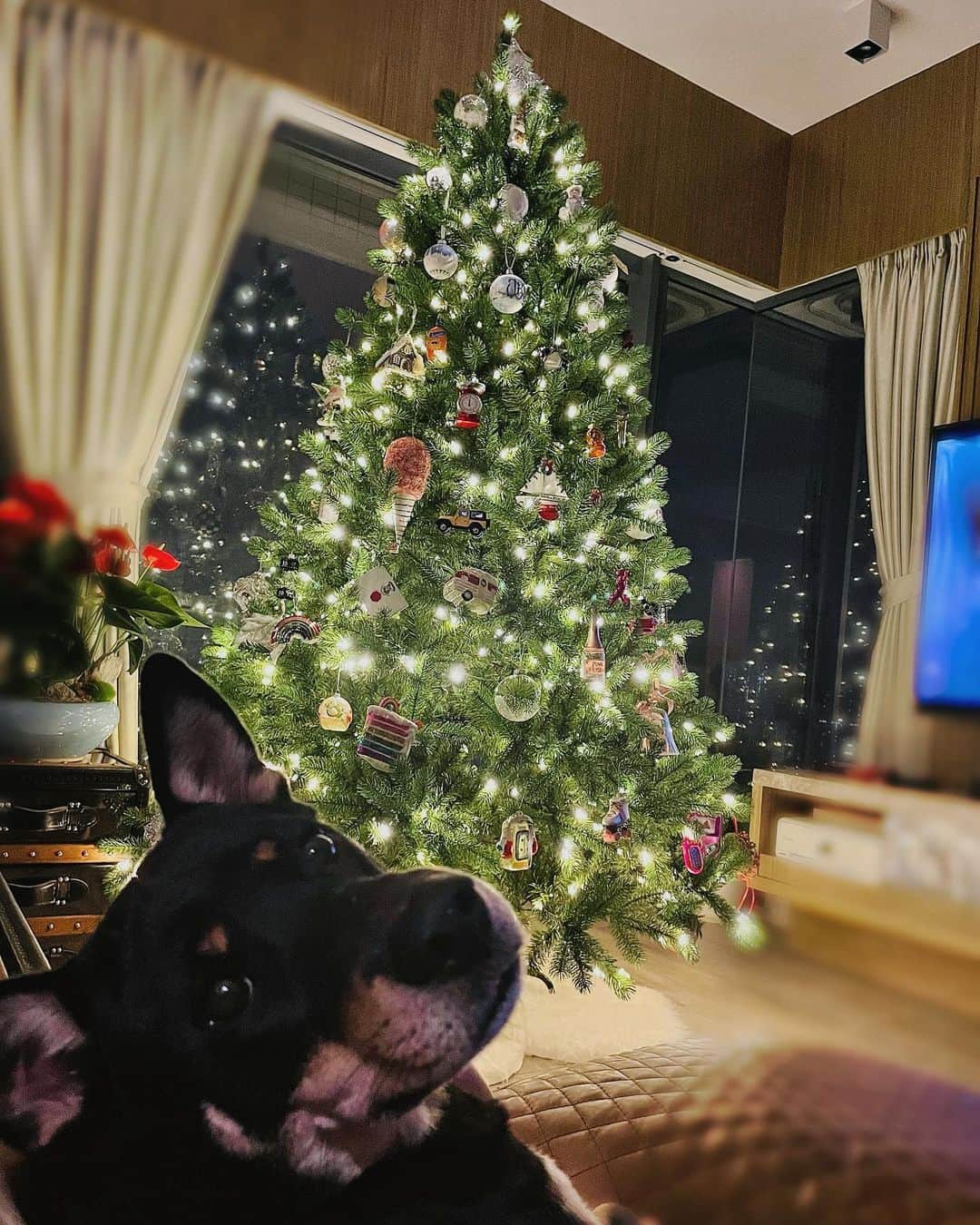 ジャクリーン・ウォンのインスタグラム：「Warm wishes to all 🥰」