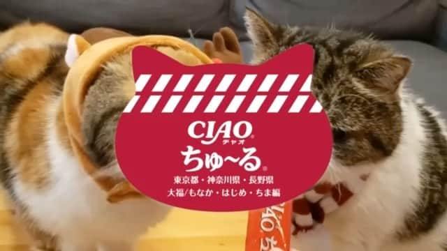 いなば CIAOちゅ～るのインスタグラム