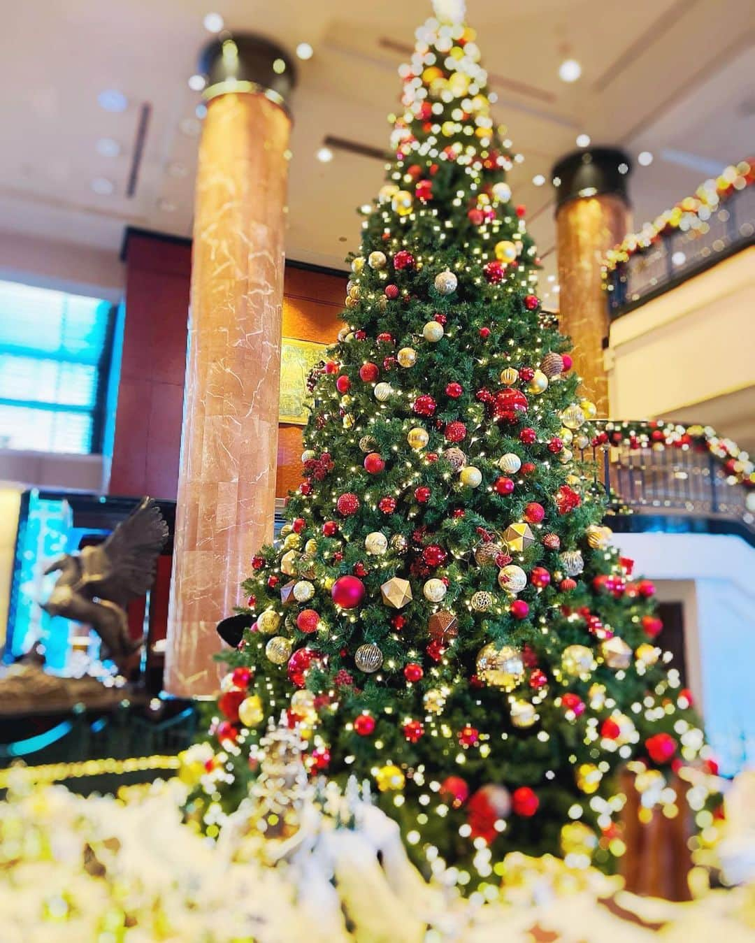 緒方咲さんのインスタグラム写真 - (緒方咲Instagram)「- ̗̀ 🤍🎄𝑀𝑒𝑟𝑟𝑦 𝐶ℎ𝑟𝑖𝑠𝑡𝑚𝑎𝑠🎄🤍 ̖́- . . . . #merrychristmas #christmas #xmas #メリクリ #メリークリスマス #クリスマスツリー #綺麗 #癒し #素敵 #幸せ  #ご縁 #感謝 #2021」12月25日 15時58分 - chaaansaki