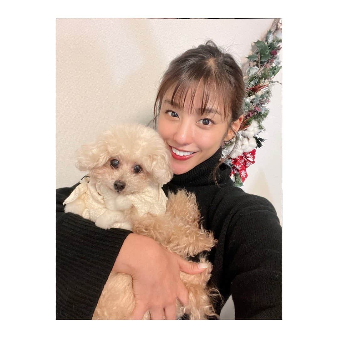 岡副麻希さんのインスタグラム写真 - (岡副麻希Instagram)「.  はっぴーめりーくりすます🎅🏻🎀🎄✨🐶」12月25日 17時06分 - maki_okazoe_official