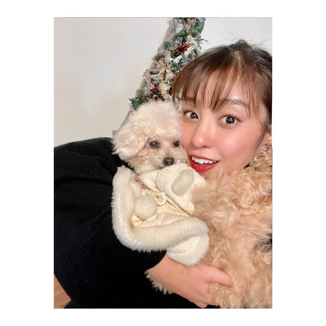 岡副麻希さんのインスタグラム写真 - (岡副麻希Instagram)「.  はっぴーめりーくりすます🎅🏻🎀🎄✨🐶」12月25日 17時06分 - maki_okazoe_official