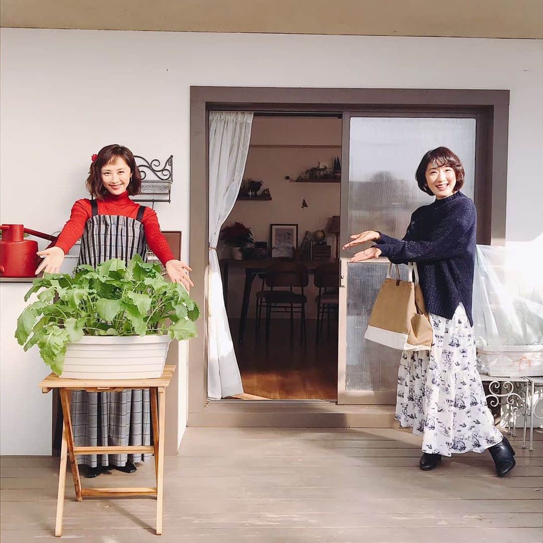 山口もえのインスタグラム：「・  明日のやさいの時間はアンコール放送📺 タカさんとサントウサイとコマツナを育てます💕 寒い時期の葉物野菜は 甘みも厚みも増し増しになるんだって🥬 こりゃ〜楽しみです🥰  12月26日(日)8:00〜8:25 12月30日（木）午後0:00〜午後0:25  NHK-E「趣味の園芸 やさいの時間 選」 もえのプランター菜園  #TV#やさいの時間#プランター菜園 #家庭菜園 #深町貴子 さんと💕 #来年のやさいの時間も是非お楽しみに♪」