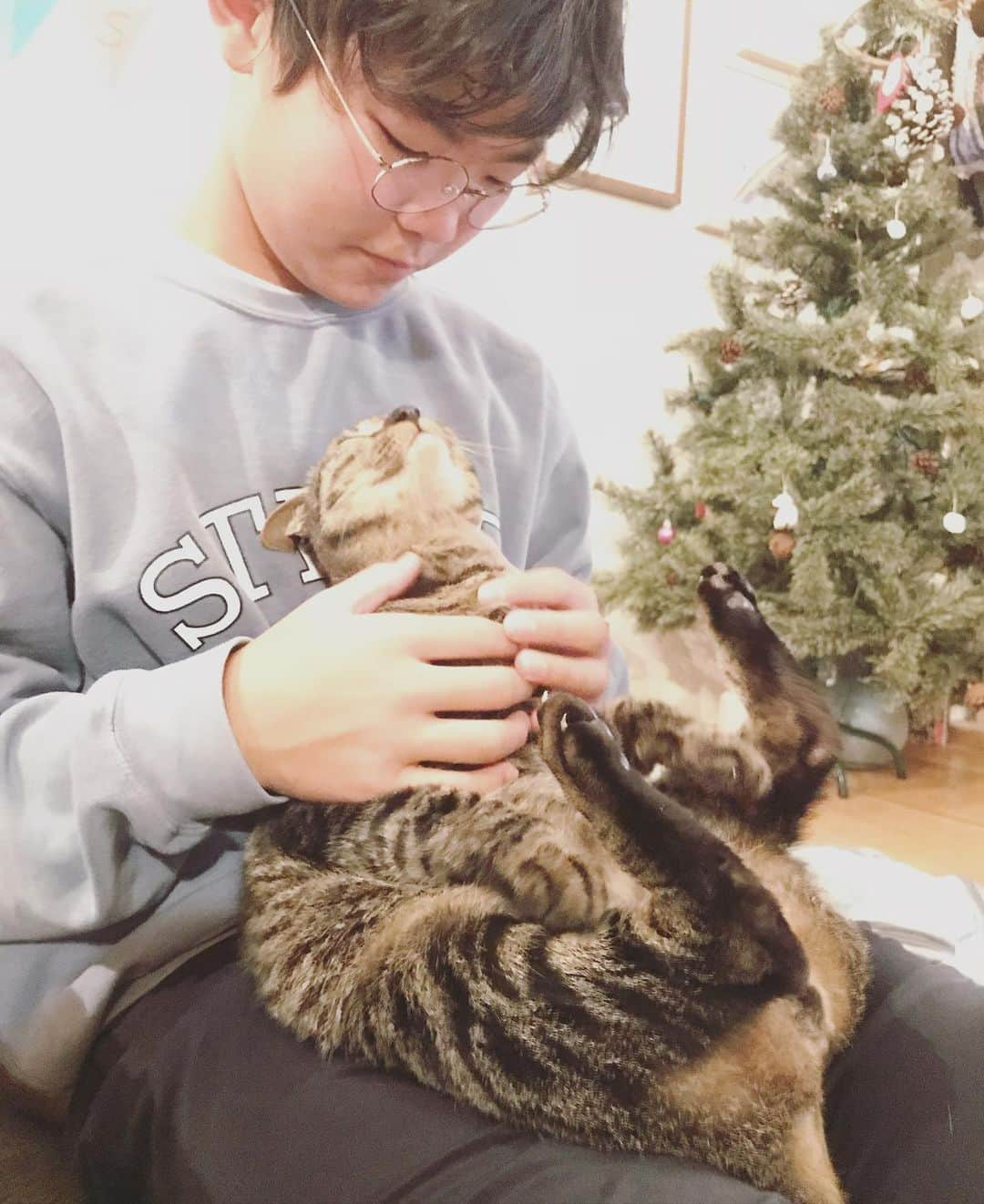 makicocomoさんのインスタグラム写真 - (makicocomoInstagram)「Merry Xmas🎄 ドリルの定位置😸  今年も無事にサンタさんが来ました♪ 今年は惇郎と廉太郎が届けてくれました。 が、実は晃志郎、、、起きてたという、、、 兄2人がギャーギャー言いながら置いてくれたのに、気づいていたのかいないのか…聞けません🙉」12月25日 18時31分 - makicocomo