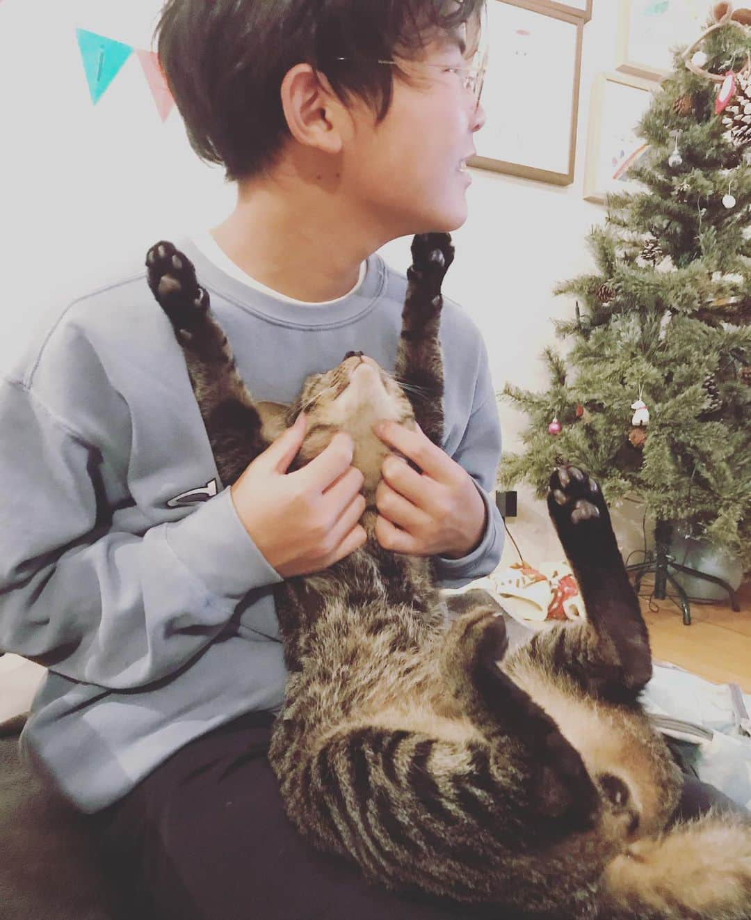 makicocomoさんのインスタグラム写真 - (makicocomoInstagram)「Merry Xmas🎄 ドリルの定位置😸  今年も無事にサンタさんが来ました♪ 今年は惇郎と廉太郎が届けてくれました。 が、実は晃志郎、、、起きてたという、、、 兄2人がギャーギャー言いながら置いてくれたのに、気づいていたのかいないのか…聞けません🙉」12月25日 18時31分 - makicocomo