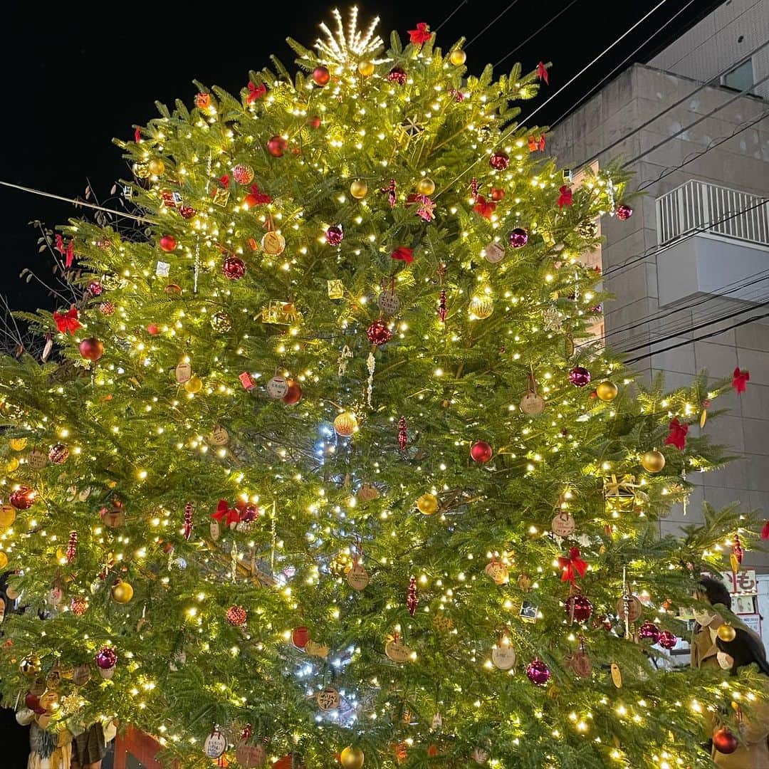 荒川真衣さんのインスタグラム写真 - (荒川真衣Instagram)「⁡ めりーくりすます❤︎🎄 ⁡ ⁡ ⁡ #どんなクリスマスをお過ごし？ #今からサンタになろうかな🎅」12月25日 18時35分 - mai_konchu