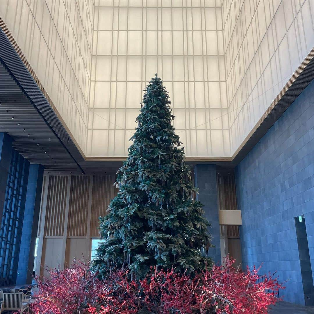 増田愛里菜さんのインスタグラム写真 - (増田愛里菜Instagram)「. アマン東京  @aman_tokyo でアフタヌーンティー🎄☕️💕 . . . まずは.. . ピンクグレープフルーツのスープ シャンパンエスプーマで乾杯🥂🧡 . . アマン東京のアフタヌーンティーはどこよりもボリュームあるから、毎回感動する🥰☕️🍰🍩🧁🍪🍮🍨🍭💕 . . . 今回はサンタさん🎅トナカイ🦌🎄🛷も 揃って可愛くスイーツになってたよ🥺❤️ . . . . #アマン東京  #アマン東京アフタヌーンティー  #アフタヌーンティー  #クリスマスアフタヌーンティー  #東京スイーツ  #スイーツ  #foodie  #gourmet  #sweets」12月25日 18時51分 - masuuu_324