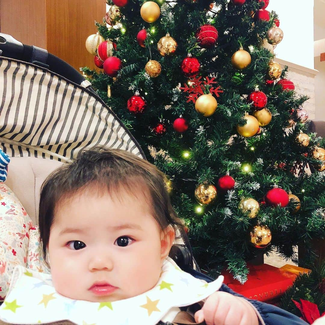 泉水いづみさんのインスタグラム写真 - (泉水いづみInstagram)「滑り込みで、メリークリスマス✨🎄✨  さくらちゃん🌸 初めてのクリスマス💕  #生後6ヶ月 #令和3年6月ベビー #赤ちゃんのいる生活」12月25日 23時50分 - izumidumi