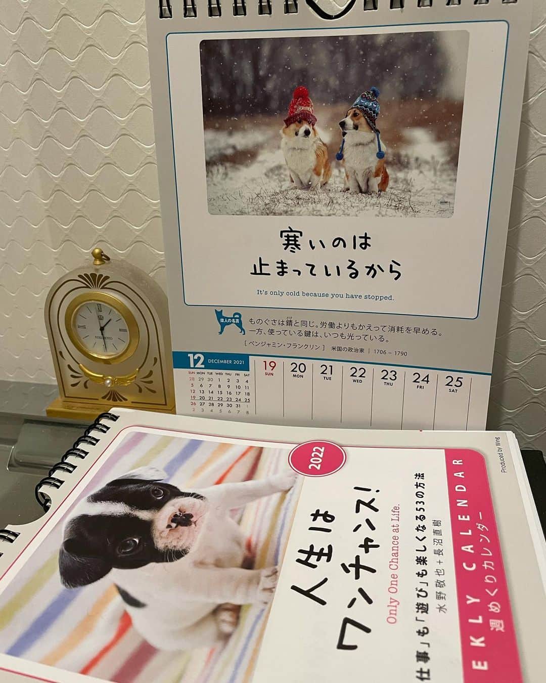 橋本志穂さんのインスタグラム写真 - (橋本志穂Instagram)「1週間、可愛いコーギーの写真に癒されました。 さぁ、クリスマスも終わって こらから大掃除だー💦　 寒いのは止まってるから。。 そうだね、動くぞーーー  クリスマスといえば 贈り物 このカレンダーは 谷隼人さん松岡きつこさんの マネージャーさんが 毎年贈ってくださるの。  可愛い犬の写真と 心に響く格言のセット 来年ぶんも ありがとうございました♫  #人生はワンチャンス #カレンダー #谷隼人 さん #松岡きっこ さん」12月26日 1時32分 - shihohashimoto3