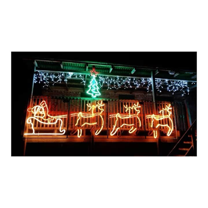 メアリー・マッカートニーのインスタグラム：「Christmas lights to brighten up our day x Mary」