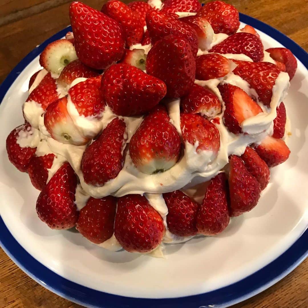HARUKO（真木明子）さんのインスタグラム写真 - (HARUKO（真木明子）Instagram)「世界で一番美味しいショートケーキ🎂  うちのショートケーキ 本当に美味しいの❤️」12月26日 15時28分 - haruko227