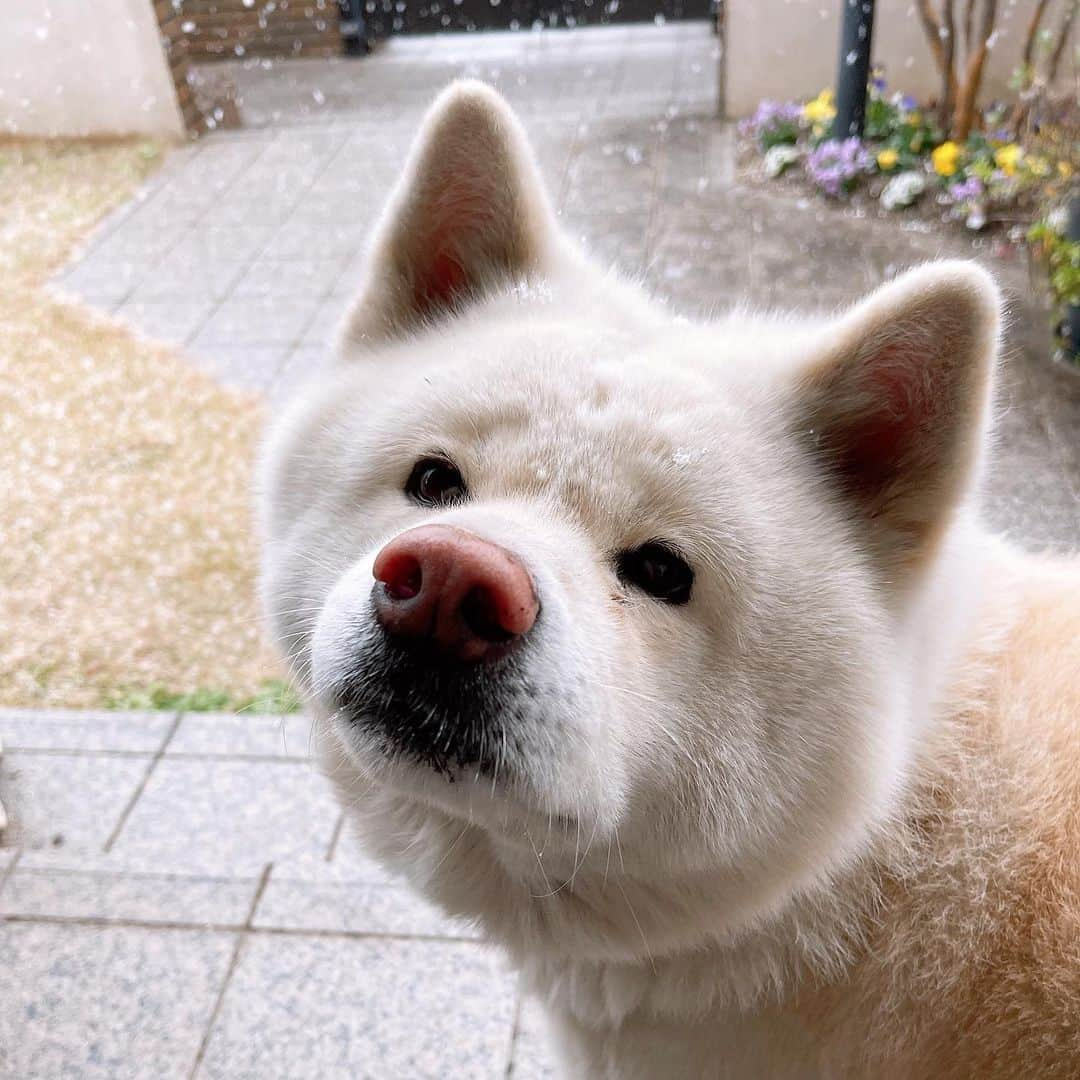 水谷雅子のインスタグラム