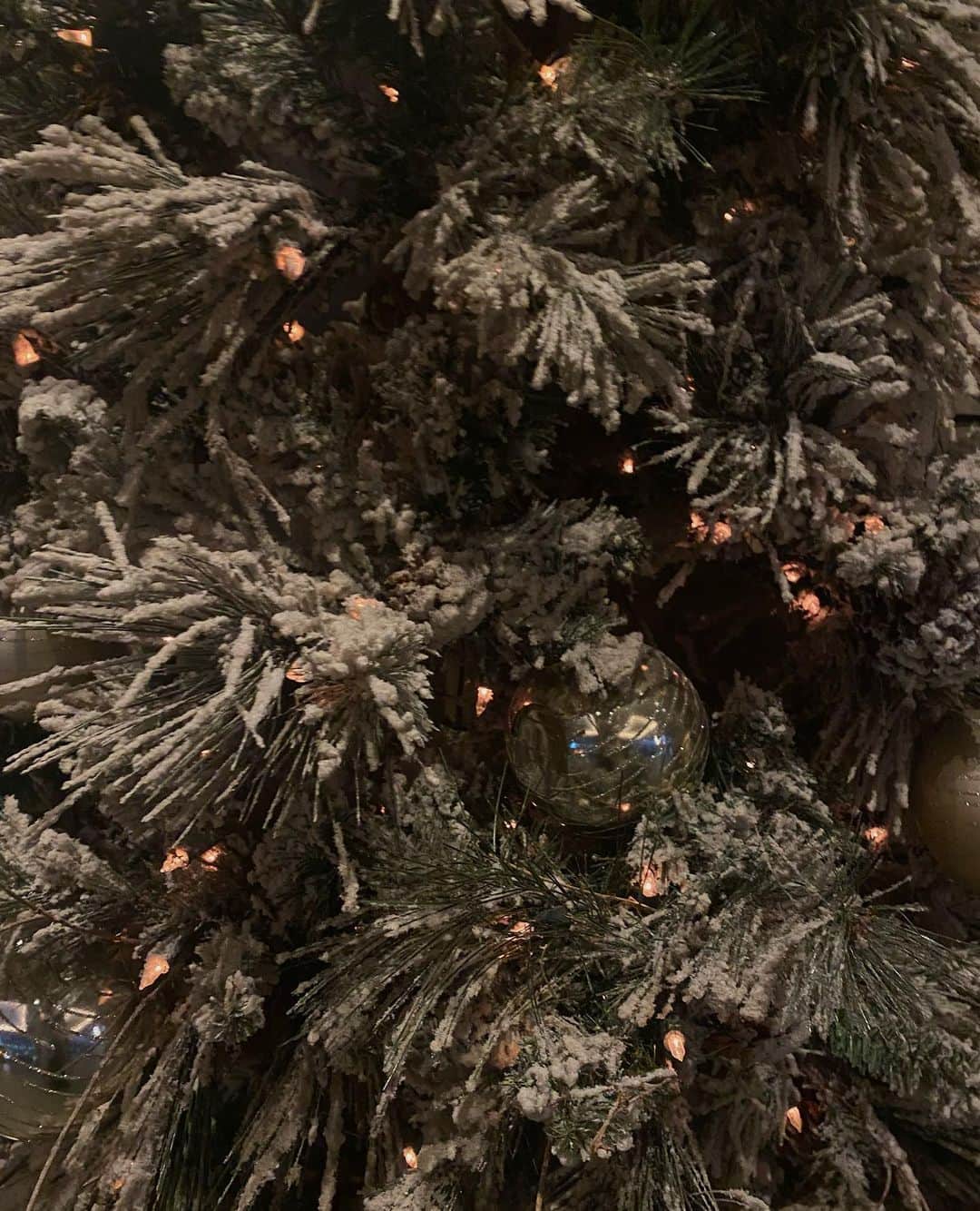Icumi Oohamaさんのインスタグラム写真 - (Icumi OohamaInstagram)「🎄🤍  KATEが楽しんでくれたクリスマス❤︎ それが一番嬉しい❤︎ 大好きなヒト @_namikanemoto_ も来てくれて 組み体操して、スゴロクして、平和な夜でした☺︎☺︎☺︎  今朝はクリスマスグッズを片付けて 扉にはお正月の飾りつけを✨」12月26日 14時05分 - icumi___