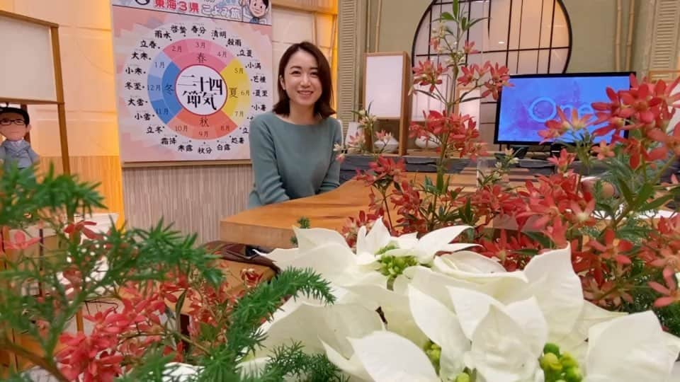 上山真未のインスタグラム：「2021年最後のお花動画💐 一年の総決算編です！ 頂いたコメントも読ませて頂きました☺️ ぜひ最後までご覧ください✨ ⁡ ⁡ #flowers #花スタグラム #おまみのお花博士への道 #東海テレビ #ニュースOne #アナウンサー #上山真未」