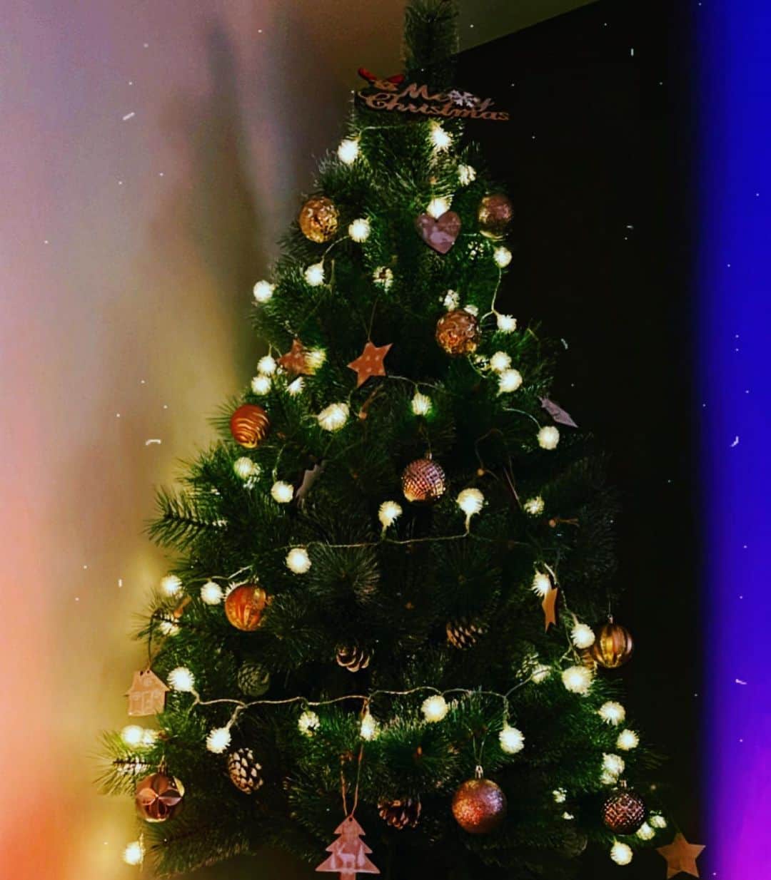 香川沙耶さんのインスタグラム写真 - (香川沙耶Instagram)「生まれた時からクリスマスの日がいちばん好き。 みんなすてきな時間になったー？ #feliznavidad 🎅🏽🎄❤️✨✨」12月26日 18時46分 - saya.kagawa