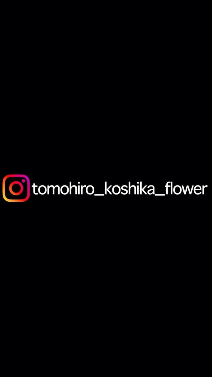 tomohiro koshikaのインスタグラム