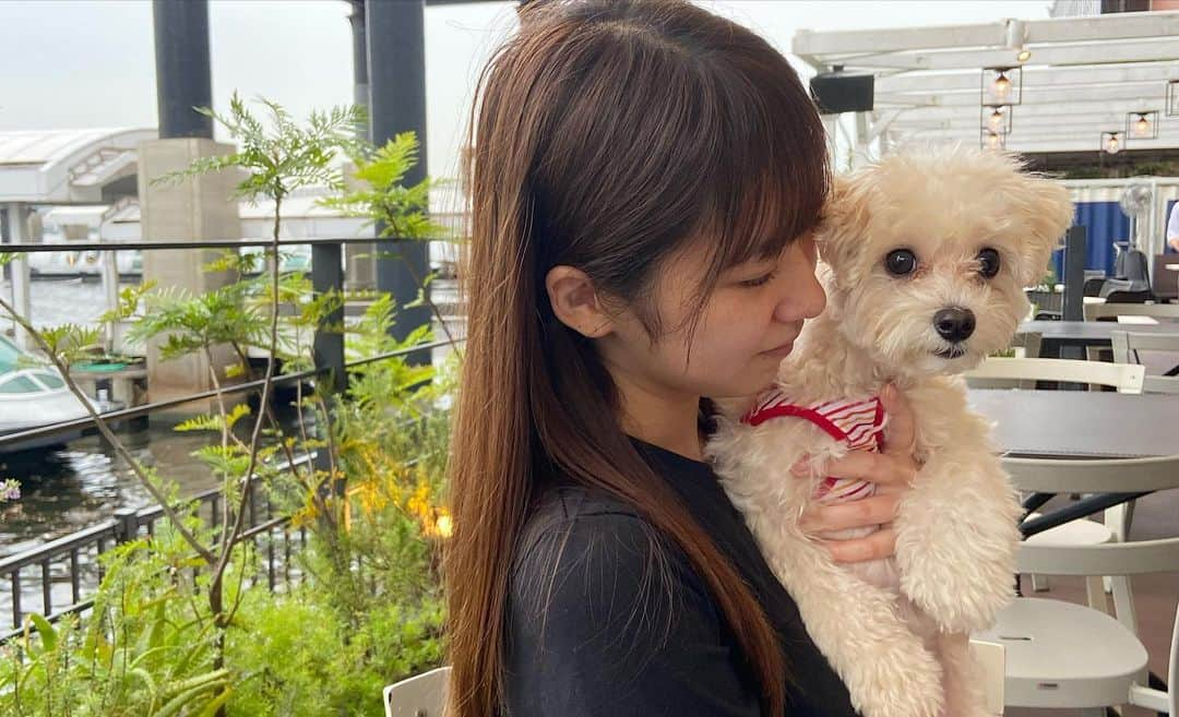 野中美希さんのインスタグラム写真 - (野中美希Instagram)「2021年とうふまとめ🐶💗 . 2021 Tofu photos🐶💗 . #とうふちゃんの成長#とうふちゃんの成長日記#とうふちゃん#野中とうふ#犬のいる暮らし#わんすたぐらむ#いぬすたぐらむ#マルプー#helloproject#morningmusume21#野中美希#ちぇる#🐶」12月26日 21時50分 - miki_nonaka.official