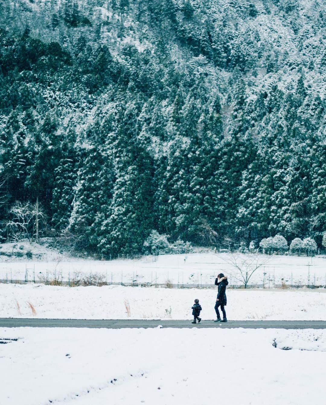 Kobe Japan Water artのインスタグラム：「"❄️🌲❄️🌲" もしかして、あれは粉砂糖？👶」