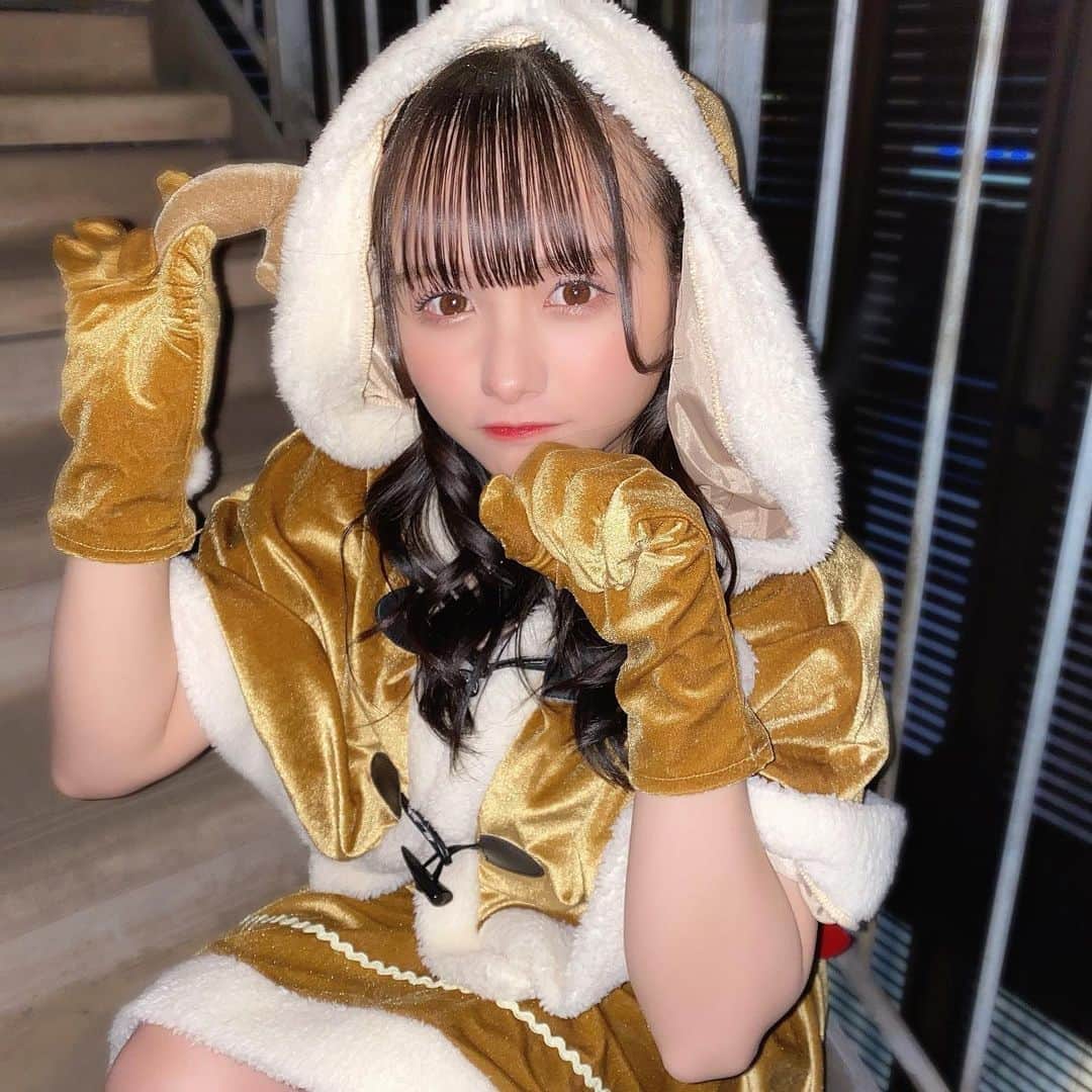 新谷真由さんのインスタグラム写真 - (新谷真由Instagram)「1日遅れのトナカイさんです🛷」12月26日 22時16分 - ni_mayu43