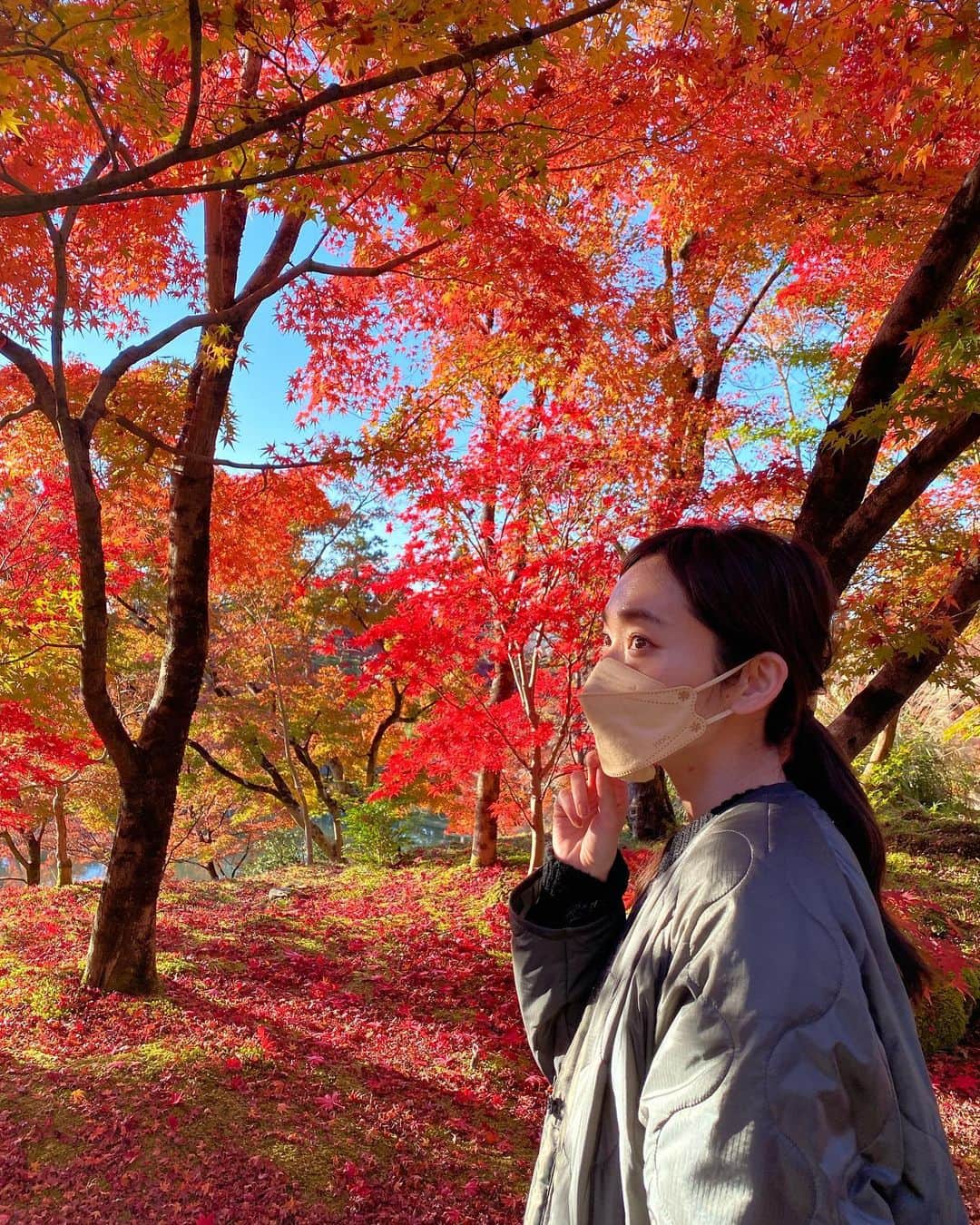 落合砂央里のインスタグラム：「載せ忘れていた京都の紅葉  永観堂へ行きました やはり圧巻！ 11月の末でしたが、綺麗なグラデーションが見れました🍁  今までは色んな所を観光するのが好きだったけど 今回は予定を詰め込まずのんびり過ごしました。  子が産まれて旅行の楽しみ方も変わっていくだろうと思い 久しぶりの秋の京都、噛み締めて歩きました。  #永観堂 #京都」