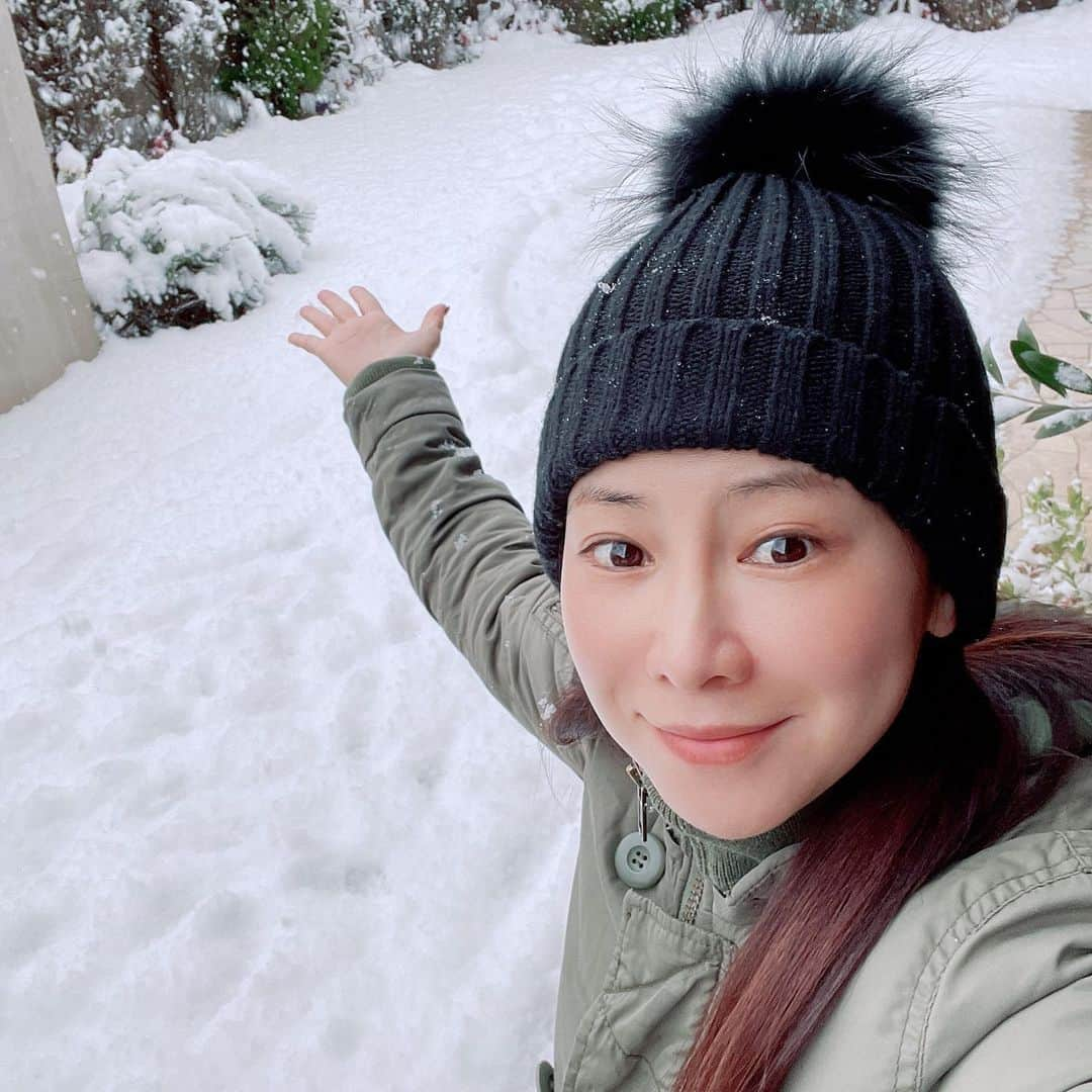 水谷雅子さんのインスタグラム写真 - (水谷雅子Instagram)「#おはようございます #モーニング #朝食 #goodmorning #breakfast  #秋田犬#秋田犬マグ#おはようマグ #厚焼きたまごサンド  #クリスマス会#プレゼント交換🎁  #スガハラガラス #ありがとう  #カフェオレ#ホットコーヒー#珈琲 #赤どりのたまご  #エスエルクリエーションズ #安心安全な食材#お取り寄せ #slcreationsのある暮らし #slcreations #冷凍食品#宅配冷凍食品#品質こだわり #無添加#z's-menu #水谷雅子#水谷雅子beautybook50の私 @slcreations_official 名古屋4℃⛄️ おはようございます！ 今朝は雪☃️ 朝起きたらびっくり！雪景色⛄️❄️ マグはもう大はしゃぎしていますよ🐶🎶 雪はお昼頃に一旦止むようですが明日にかけて降るようです。 月曜日なので余裕を持ってお出掛けしてくださいね。 足元に十分気をつけて行ってらっしゃい。❤️」12月27日 9時15分 - mizutanimasako