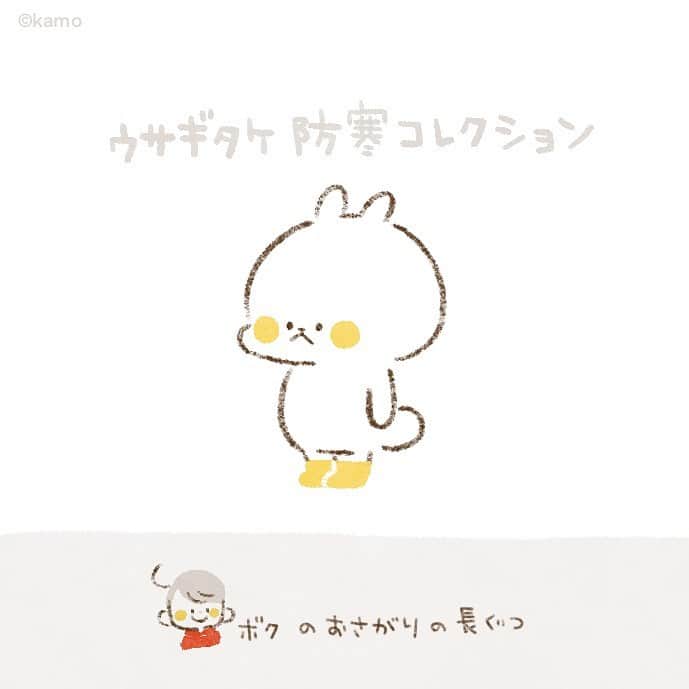 カモのインスタグラム
