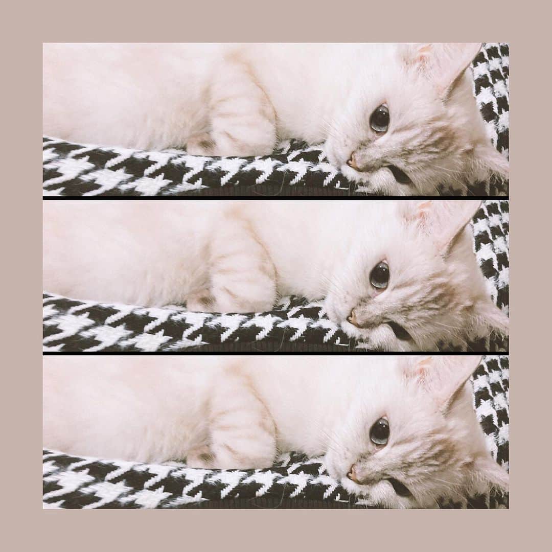 藤井麻由のインスタグラム