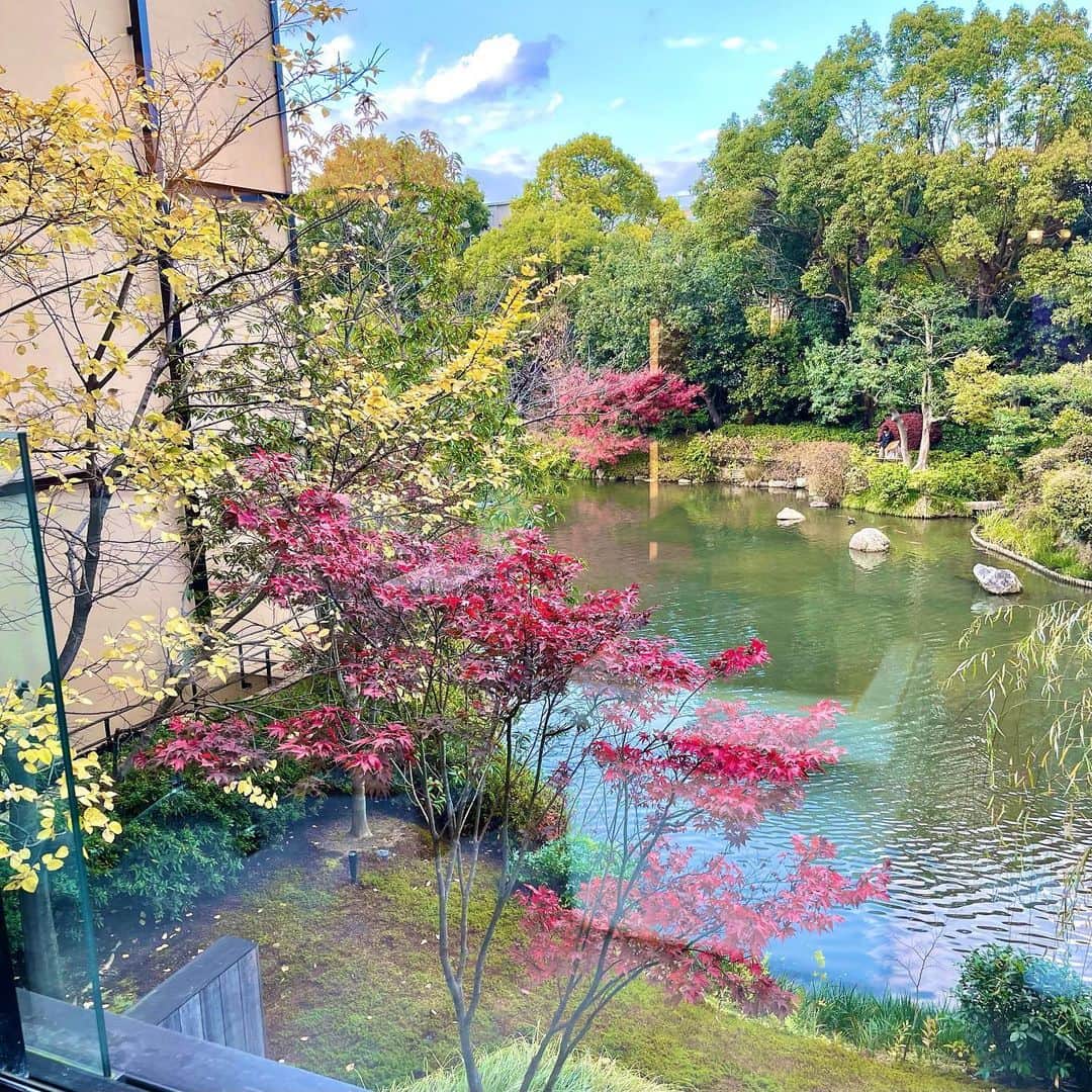 sakiさんのインスタグラム写真 - (sakiInstagram)「とっても綺麗だった🍁 ずっと行きたかった京都…💕 紅葉もみれました本当に綺麗だった、、🥺 京都でお誕生日を迎えられて幸せでした🫶  一生に残る宝物の時間☺️  #京都観光 #京都ホテル　 #紅葉」12月3日 18時19分 - sakirnxx