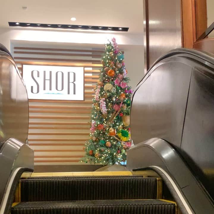 飯島寛子のインスタグラム：「@studiorimhawaii があるハイアットの3階へ Holiday season 到来！ #studiorimhawaii #クリスマスツリー」