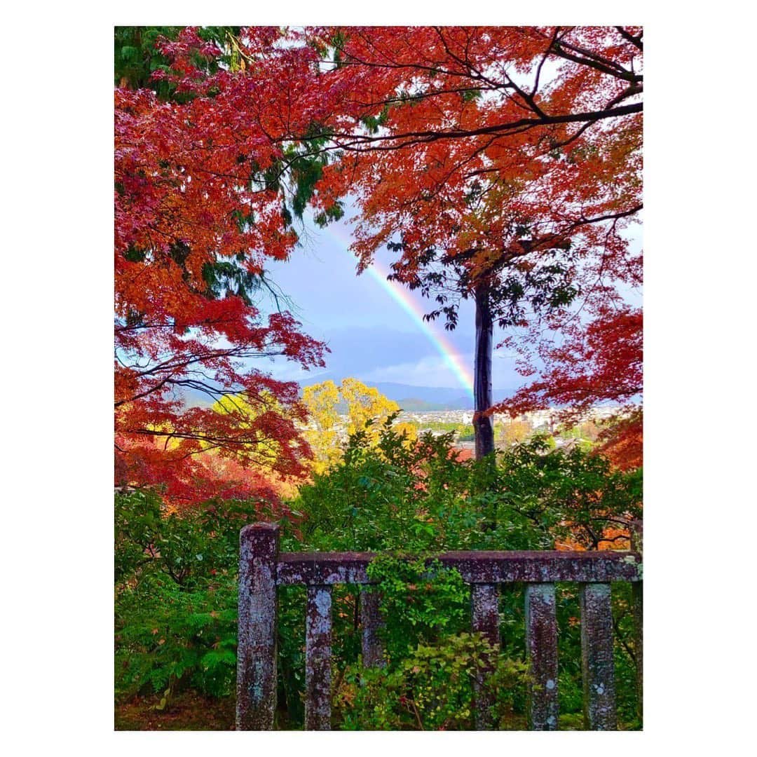 長野美郷さんのインスタグラム写真 - (長野美郷Instagram)「紅葉の窓から #虹　見れました。  いいことありそう！  #思わず願い事をした あれ、なんか違う…？と思ったら #流れ星と間違えました 😂 #🌈　#紅葉　#🍁」12月3日 15時52分 - misato_nagano_1127