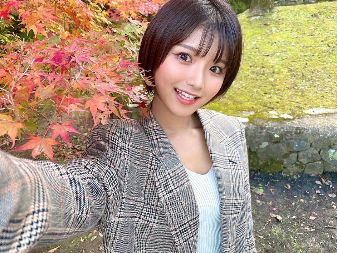 山本ゆうかのインスタグラム：「紅葉！！！！！ とか言ってたらもうクリスマスになってて辛い」