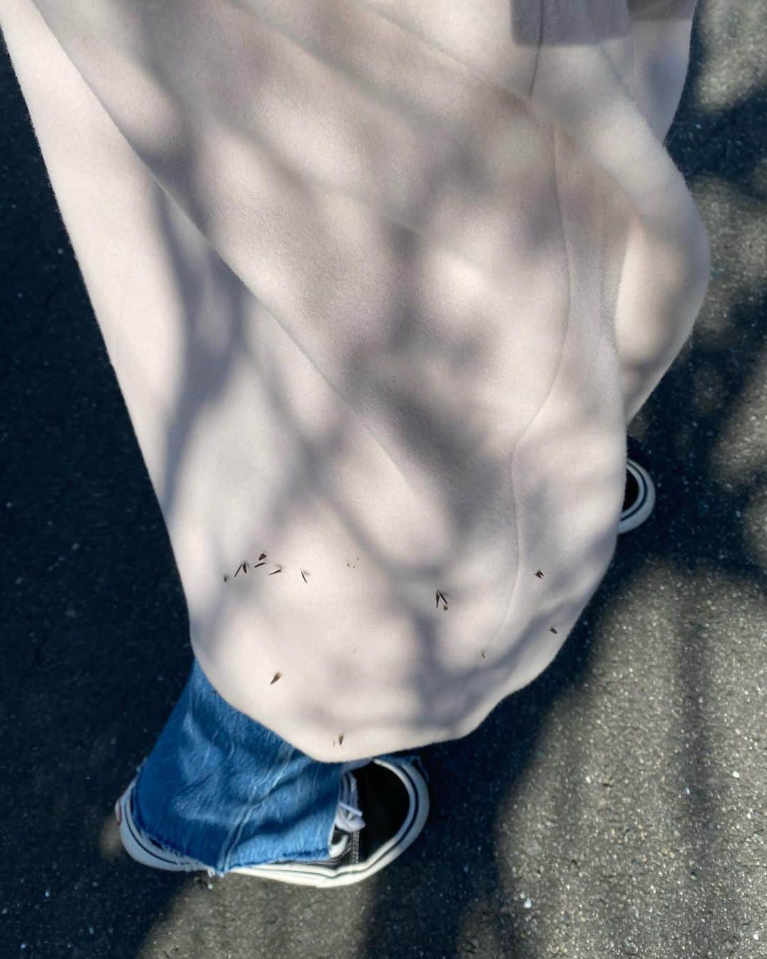 大友愛さんのインスタグラム写真 - (大友愛Instagram)「散歩ばしよったら  くっついてきよる🍂  🙊w🙊w🙊w」12月4日 11時26分 - ai_dayooon