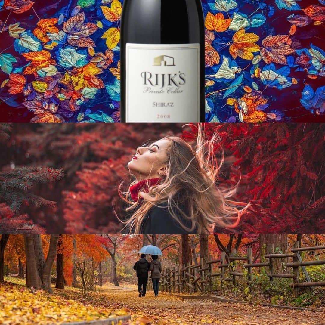 神の雫WINE SALONのインスタグラム：「12月に入りまだ紅葉が楽しめる遅い秋🍁 そろそろ冬を迎えますが。そんな季節に似合う赤ワインのご紹介🍷  　　　　　　ライクス　シラーズ　 　　　　プライヴェート・セラー　　[2008]　 　　　　　　　　¥4,279税込  https://kaminoshizuku.jp/item/detail/1_101_W-AF16100504/  南アフリカのダルバッハ。そこでワインを作る生産者ライクス。何度かこの神の雫ワインサロンでもご紹介してきた赤ワインがこの度入荷致しました。葡萄品種はシラーズ。南アフリカのこのシラーズから感じ取れる香りはカシスや仄かに黒いチューリップと優しくボタン。スパイシーな部類から黒胡椒とナツメグ。ハーヴェイシャスなユーカリと共に少し樽を感じるエスプレッソ。味わいからボリューミーな印象。しっかりとした果実由来の酸味、苦味がバランスよく、秋を感じさせる芳ばしいアフターフレーバー。冬に向かい用意していた食材とマッチング間違いなしです。この表現からあなたとって想像するマリアージュに是非この赤ワインを試してみて下さい🍷  ------------------------------------------- 神の雫Wine Salon 公式HP https://kaminoshizuku.jp/ #神の雫 #ワイン ＃南アフリカ ＃RIK‘s」
