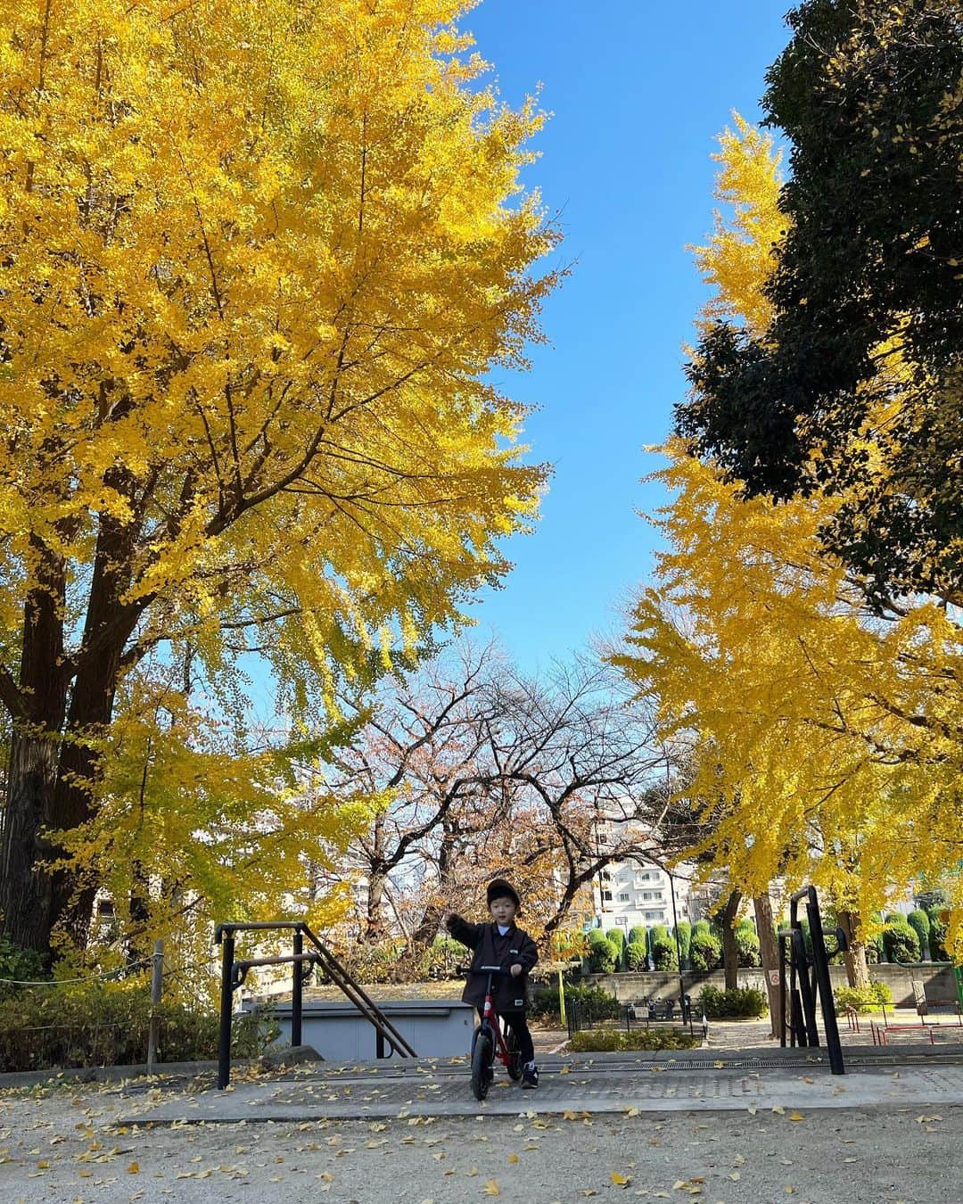 中村獅童さんのインスタグラム写真 - (中村獅童Instagram)「晴れた日には  #素敵な一日を #陽喜記録」12月4日 12時27分 - shido_nakamura