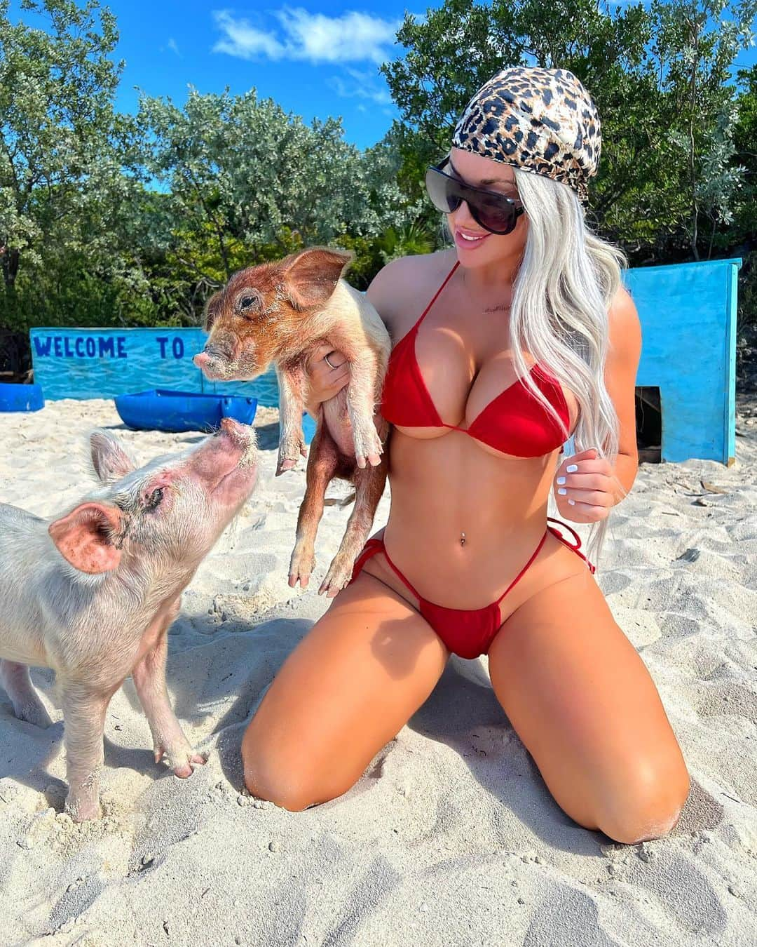 LACI KAY SOMERSのインスタグラム：「Bucket list ✅🏝@lacikayxo #bahamas #pigbeach」