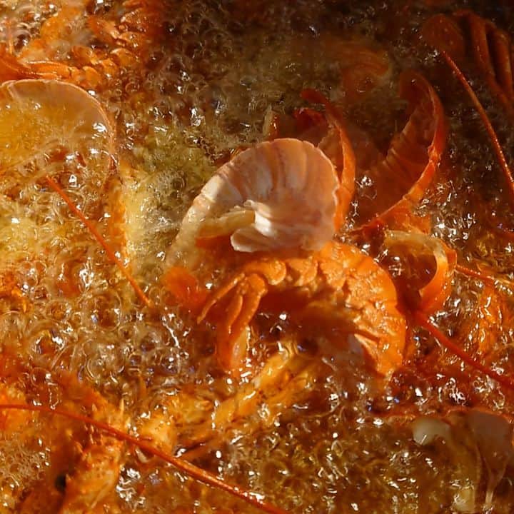 HEY!たくちゃんのインスタグラム：「明日の伊勢海老油。 落合博満の言葉を聞きながら」