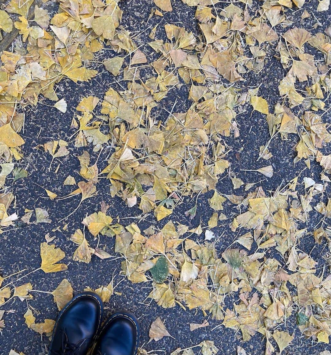 柿崎裕美のインスタグラム：「🍂👞💛 #イチョウ#イチョウ並木#drmartens」