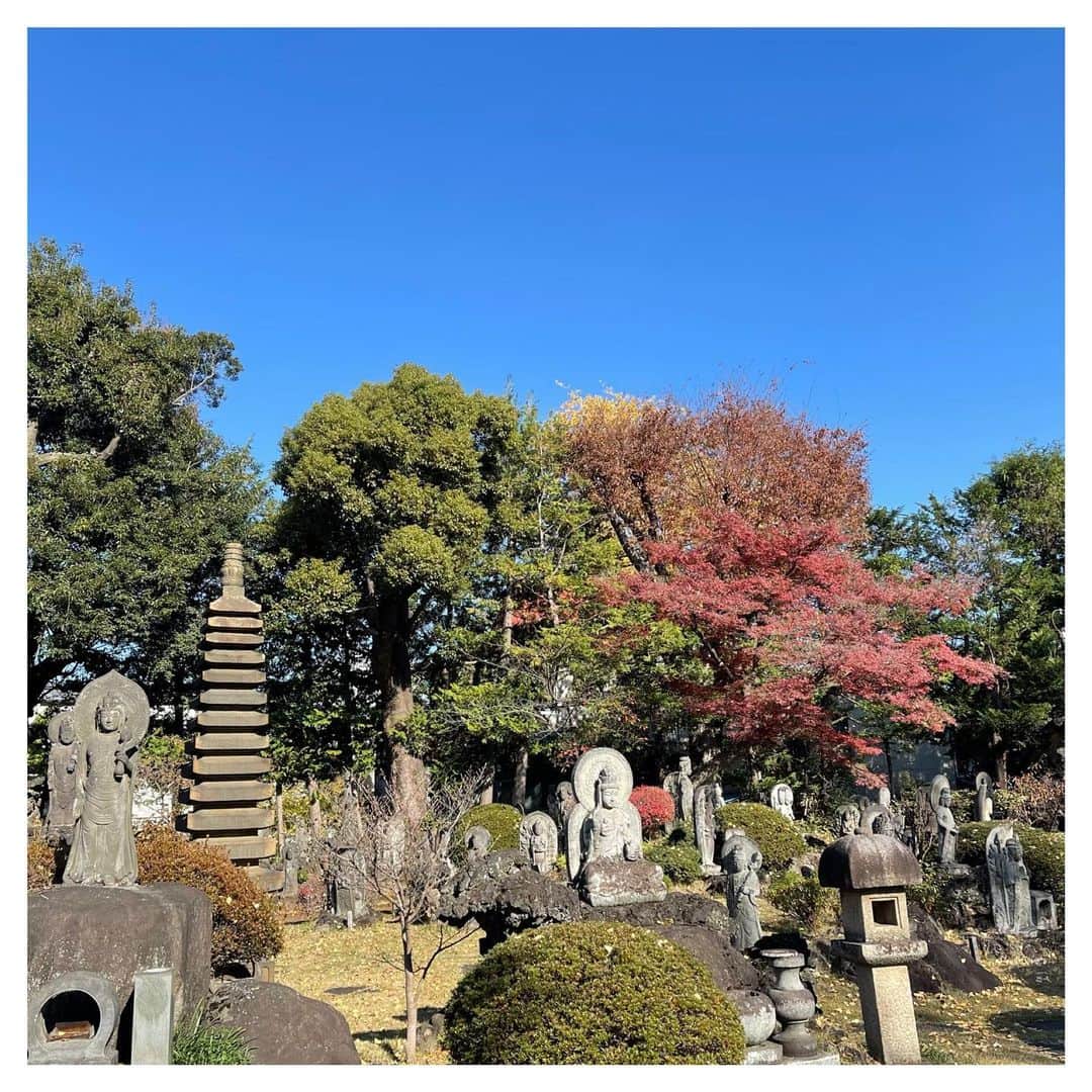 さだまさしさんのインスタグラム写真 - (さだまさしInstagram)「百観音明治寺 綺麗な青空です。 . #百観音明治寺  #さだまさし #sadamasashi」12月4日 14時47分 - sada_masashi
