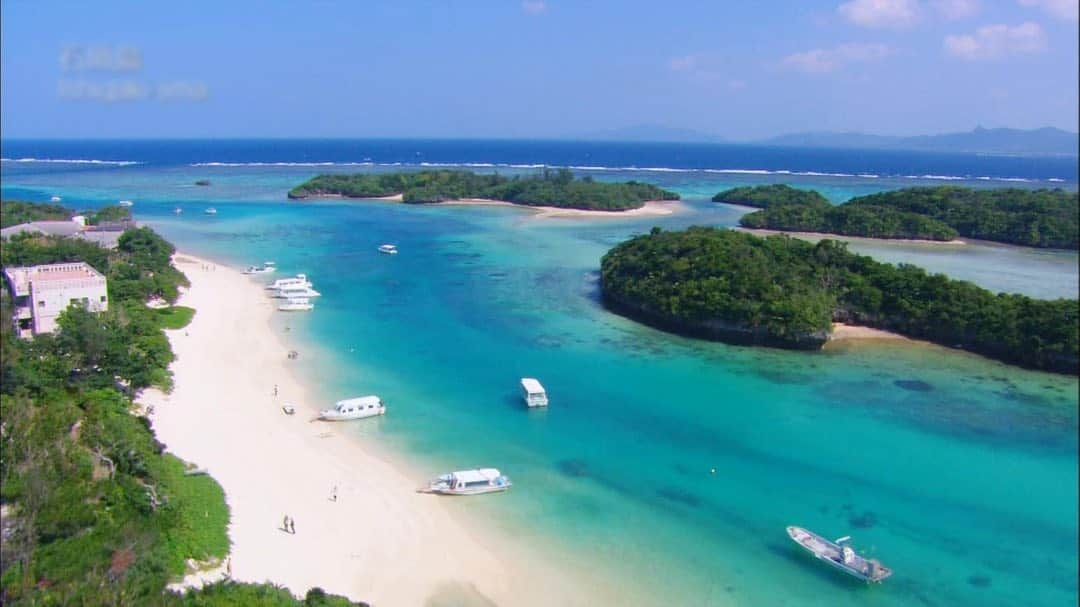 TBS「世界さまぁ～リゾート」のインスタグラム：「今日深夜0時からの放送は🙌💕 🏖世界ビーチウォーカーin沖縄🏖 エメラルドグリーンの海に🐠🌏 今年オープンしたばかりのホテル💐🏖 キラキラのご当地スイーツまで🍮🧚‍♀️ たっぷりとご紹介！💁‍♀️💓 ゲストは豊崎由里絵さんです🐣🌈 ぜひご覧ください〜 ✨👀✨  #世界さまぁーリゾート #さまリゾ #さまりぞ #summerresort #さまぁーず #三村マサカズ #大竹一樹 #豊崎由里絵 #沖縄 #世界」