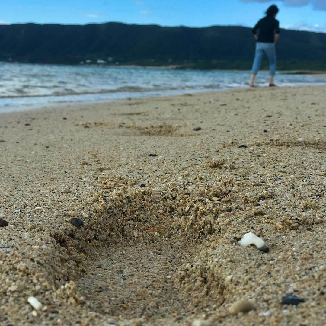 岸谷香さんのインスタグラム写真 - (岸谷香Instagram)「しばしのリフレッシュから充電満タンで現実に戻ると、なんとたった数日の間にベランダに秋が🍁なんて可愛いんだろ、あんなちっこいのに、ちゃんとそれぞれが力強く存在感をアピール❗️誰を見ても目が釘付け、、まるで最強のバンドみたいだ🤣そして、次には去年たわわに蕾みをつけたけど一つも花開いてくれなかった沈丁花が待機❗️今年は絶対咲かすぞー💪 #岸谷香 #私の可愛い盆栽達 #秋 #紅葉 #沈丁花」12月4日 16時27分 - unlockthegirls